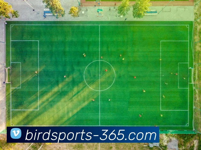 全天候体育平台生态图