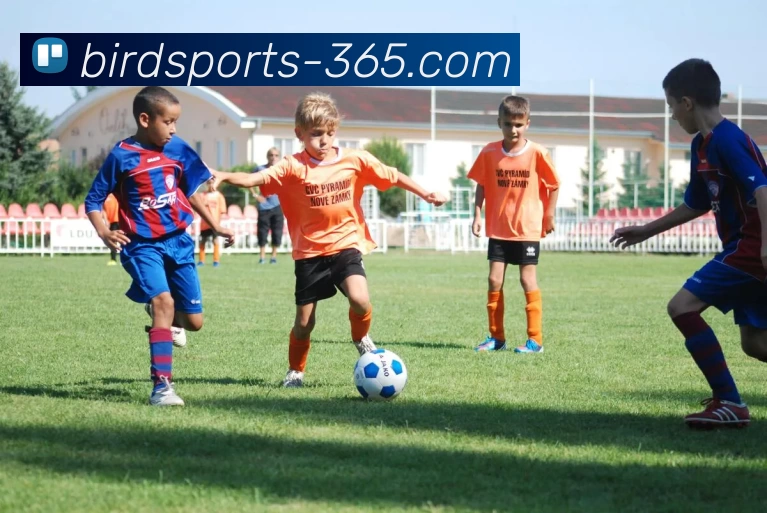 全天候体育APP 封面图